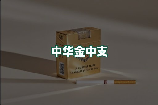 中华金中支
